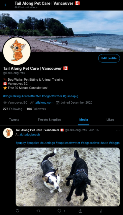 image of twitter profile